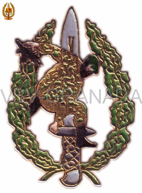 Pin Guerrillero.jpg